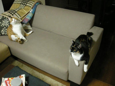 DSCN0562.JPG