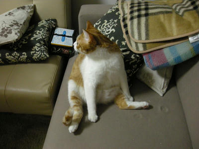 DSCN0565.JPG