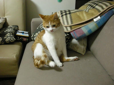 DSCN0569.JPG