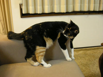 DSCN0585.JPG