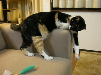DSCN0589.JPG