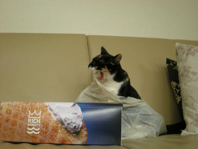 07482d75jpeg