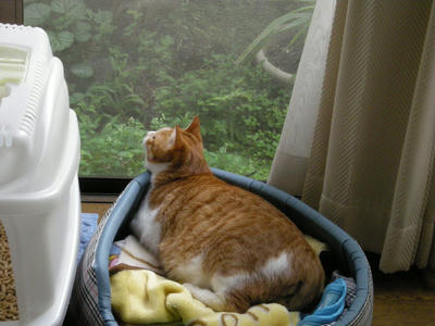 69b10558jpeg