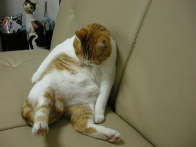 c84978f2jpeg