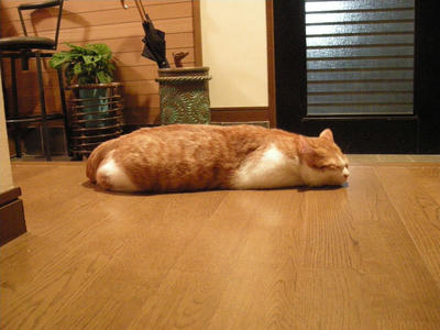 b3450953jpeg
