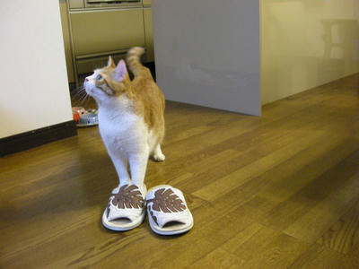 b21bd7cbjpeg