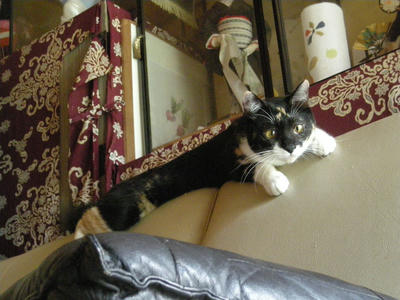 DSCN3080.JPG