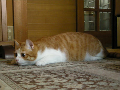 DSCN3083.JPG