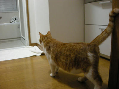 DSCN3328.JPG