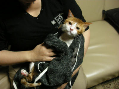 DSCN3346.JPG