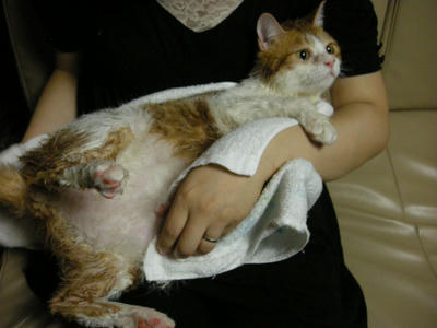 DSCN3362.JPG