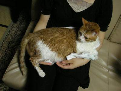 DSCN3364.JPG