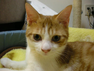DSCN3737.JPG