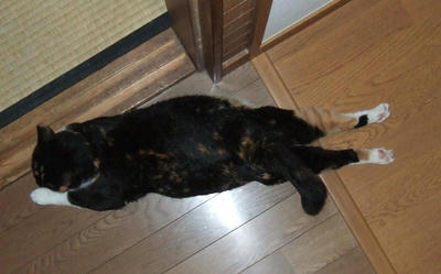 DSCF5617-1.JPG
