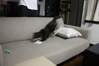 14209b66.jpeg