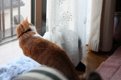 ec18759f.jpeg