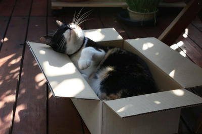 c009932d.jpeg