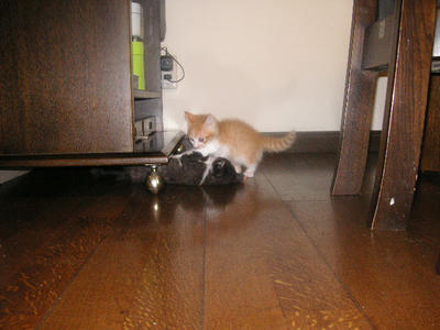 PICT0251.JPG