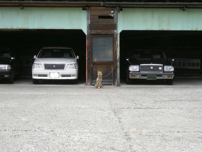 Dscn7341.jpg