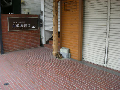 Dscn7342.jpg