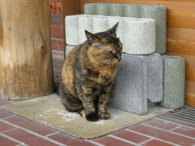 Dscn7346.jpg
