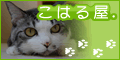 ce2f367e.gif