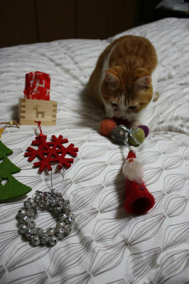 ddd30c97.jpeg