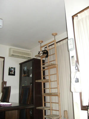 DSCF8301.JPG