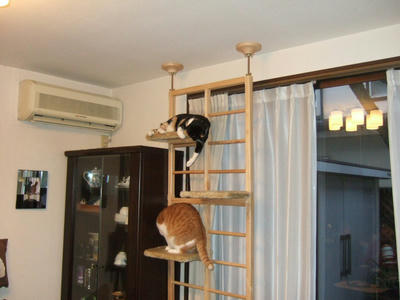 DSCF8309.JPG