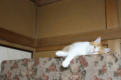 Img_0732.jpg