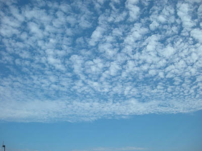 Dscn8629.jpg