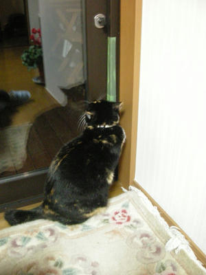 e897ad9b.jpeg