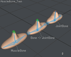 MuscleBone_test_0002.gif