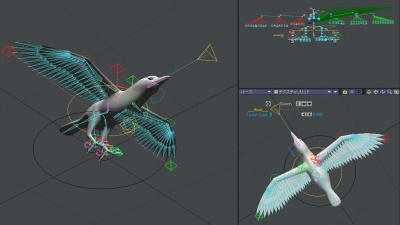 bird_rig_0001s_.jpg