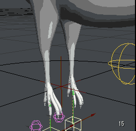 bird_Leg_test_0001.gif