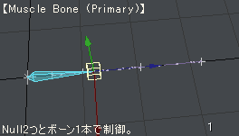 Muscle_Bone_Primary_Z.gif