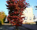 2009101515250000.jpg