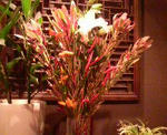 2009101521080000.jpg