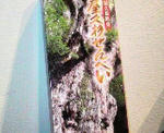 2009102519470000.jpg