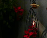 2009111410060000.jpg