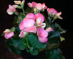 2010012221480000.jpg