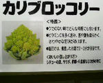 2010011912530000.jpg