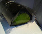 2010011522320000.jpg