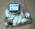 2010022800430000.jpg