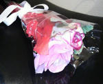 2010052921450000.jpg