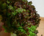 2010061723150000.jpg