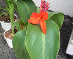 2010062509500000.jpg