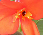 2010062509500001.jpg