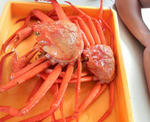 2010080314390000.jpg