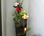 2010110410260001.jpg